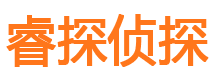 亚东市侦探公司